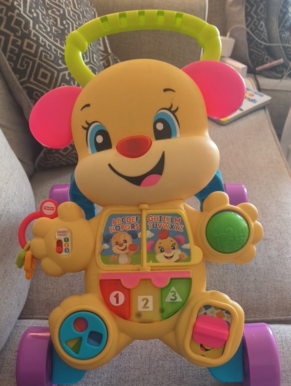 Fisher-Price Yellow, Pink & Green Puppy Learning Walker